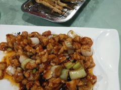 -兴芮温泉度假区