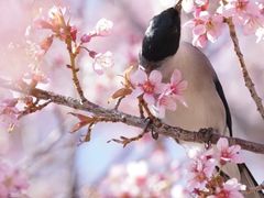 -上海山野camping·户外天幕烧烤·团建拓展营地