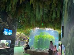 -海合安成都极地海洋公园