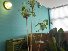 -FUNFUN有饭花园聚会餐厅
