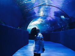 -梦幻海洋王国(吾悦广场张家港店)