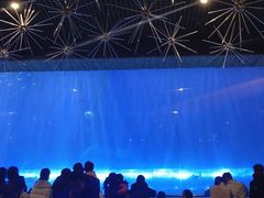 -华夏文旅海洋公园