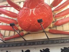 -蟹道乐(道顿堀本店)