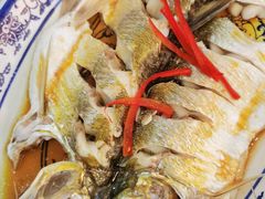 清蒸太湖白鱼-灵福缘私房菜·农家菜(拈花湾·灵山大佛必推店)