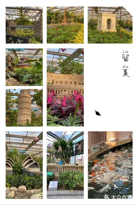 南宫五洲植物乐园图片
