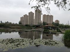 -前关湿地公园