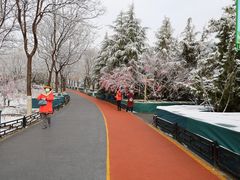 -大兴滨河森林公园