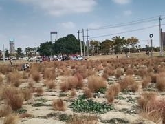 -映月湖中央公园