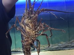 -东江海鲜大排档·潮汕菜·砂锅粥