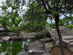 -燕塞湖鸟语林景区