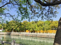 -西园戒幢律寺