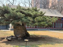 -护国法轮寺
