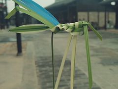 -星城之眼摩天轮