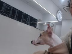 -申普宠物医院·眼科·心内科·影像科(普陀分院)