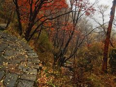 -驼梁风景区