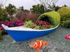 -荷兰花海