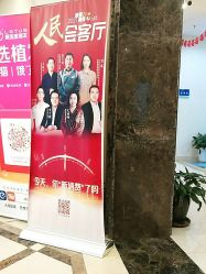 -碧莲盛·不剃发植发