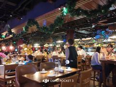 -MR.ROCKY洛奇先生·西餐&酒吧(琶醍店)