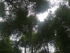 -仙岛湖旅游风景区