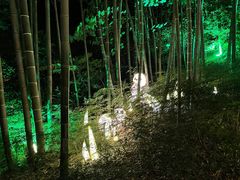 -天目湖御水温泉·度假酒店