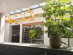 -自如ZSPACE四合院艺术餐厅