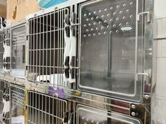 -瑞派天宁宠物医院·猫科·异宠中心