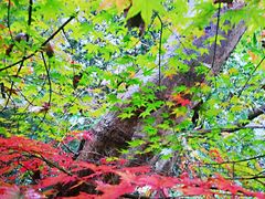 -杭州萧山国际机场