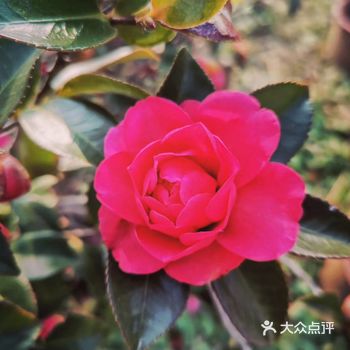 疫情也快快结束啦！ 经过这次疫情，感觉自己瘦了好多