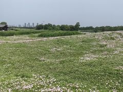 -苏州湾体育公园