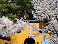 -鸡鸣寺