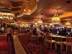 -拉斯维加斯永利酒店