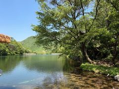 -龙道沟景区