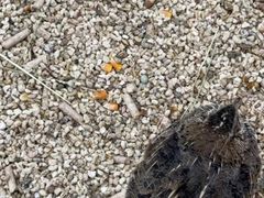 -重庆北碚万达广场