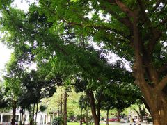 -垂虹公园