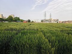 -法雅体育工厂店(皂君庙路店)
