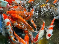 -太平洋海底世界