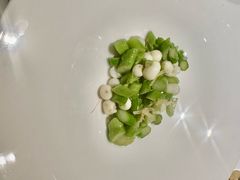 -觀芷隐轩
