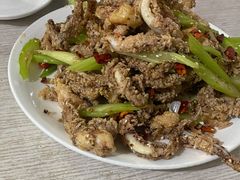 干煸鱿鱼须-鑫来子菜馆