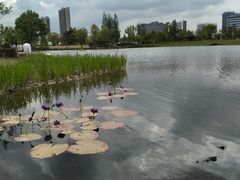 -上海植物园-4号门售票处