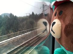 -PAWTOY爪e玩偶店(天兴罗斯福店)