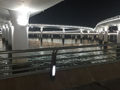 -演武大桥观景平台