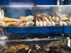 -蚝专家(北滘店)