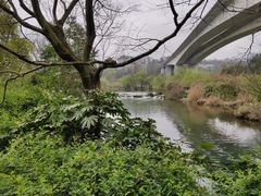 -贵阳市花溪国家城市湿地公园