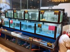 -聚鑫阁江浙菜·非遗传承技艺(闵行交大店)