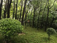 -木塔寺遗址生态公园