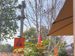 -后湖小院·乡野田园菜