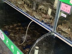 -阳澄湖大闸蟹·琼灵阁牌品牌连锁(吴中总店)