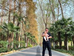 -合肥滨湖国家森林公园