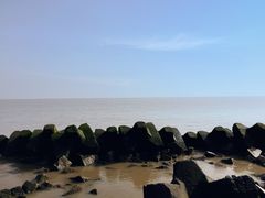 -南汇嘴观海公园