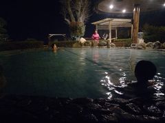 -辉县龙溪温泉养生旅游度假村